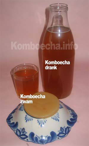 Op deze foto ziet een komboecha-zwam en de drinklare komboecha.